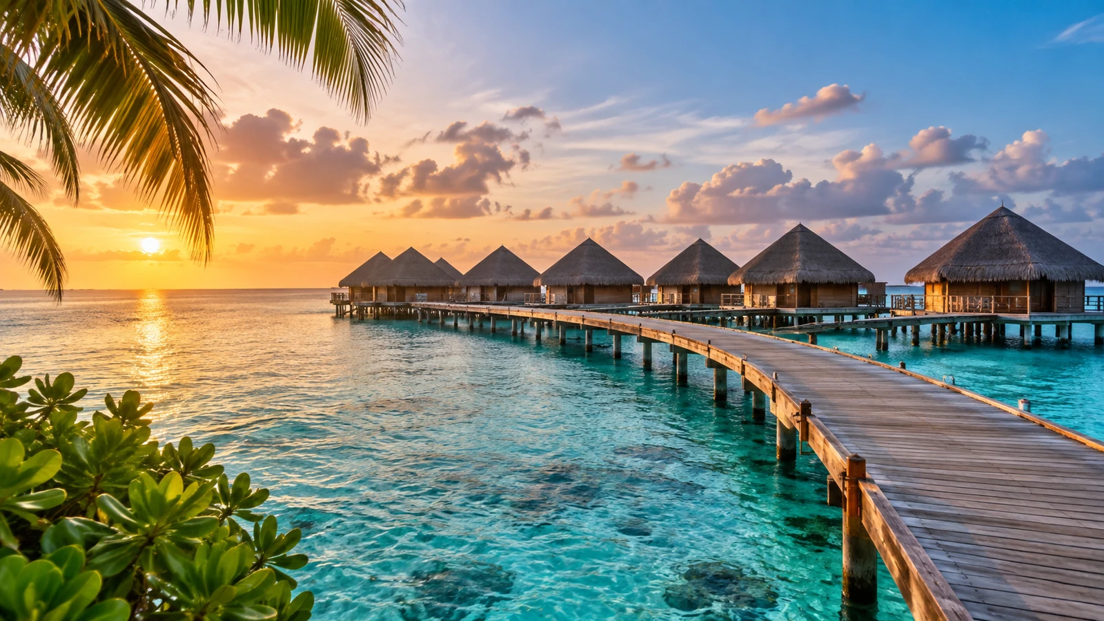 The Aquatic Nation: 15 Fascinating Facts About the Maldives