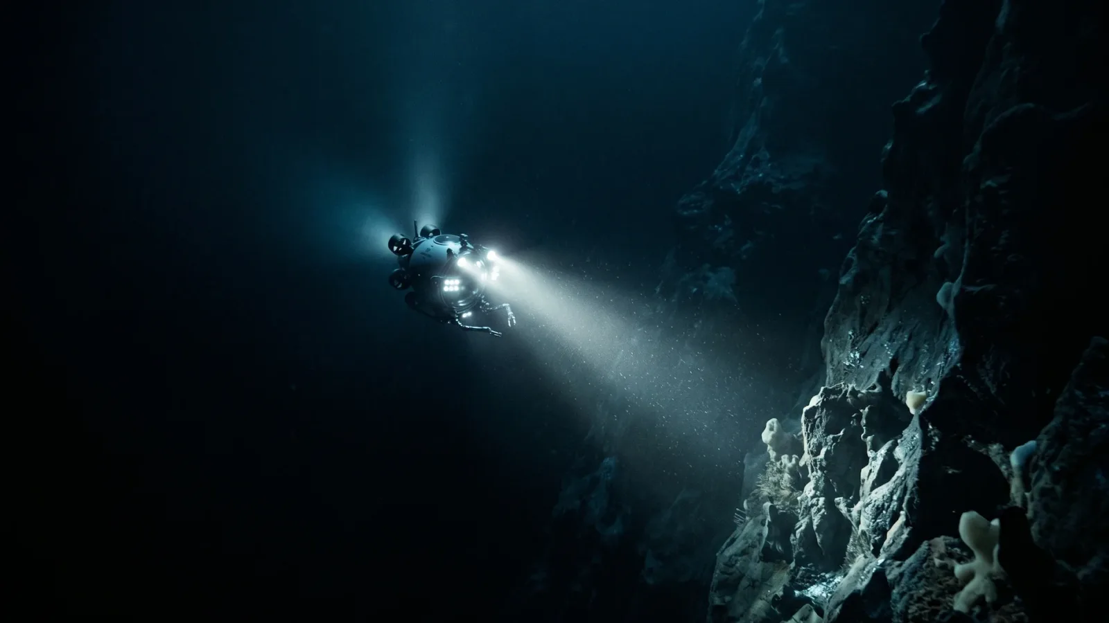 15 Surprising Facts About the Mariana Trench & Its Deepest Secrets