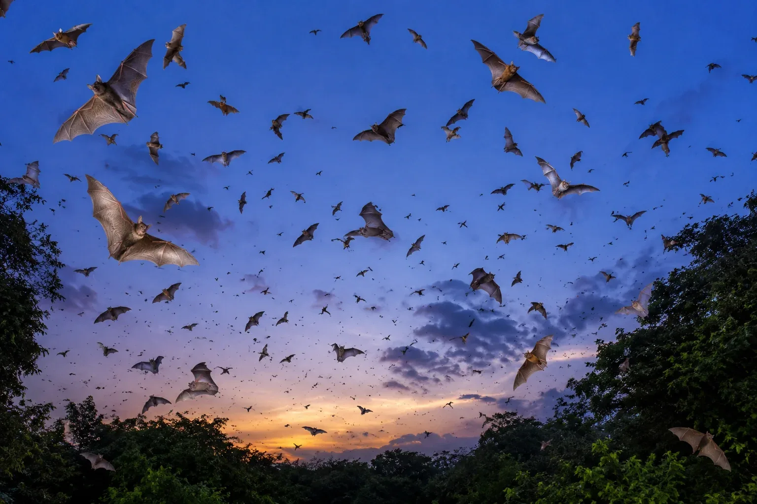 Flying many bats.