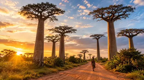 The Enigmatic Island: 15 Fascinating Facts About Madagascar