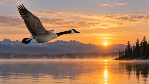 The Sentinel Aviators: 15 Fascinating Facts About Geese