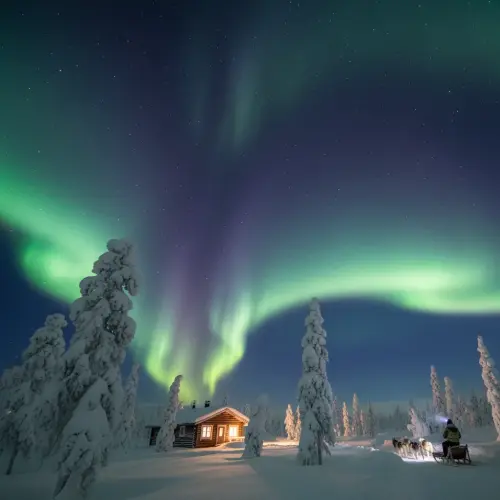 The Frozen Realm: 15 Fascinating Facts About Lapland