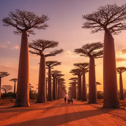 The Enigmatic Island: 15 Fascinating Facts About Madagascar