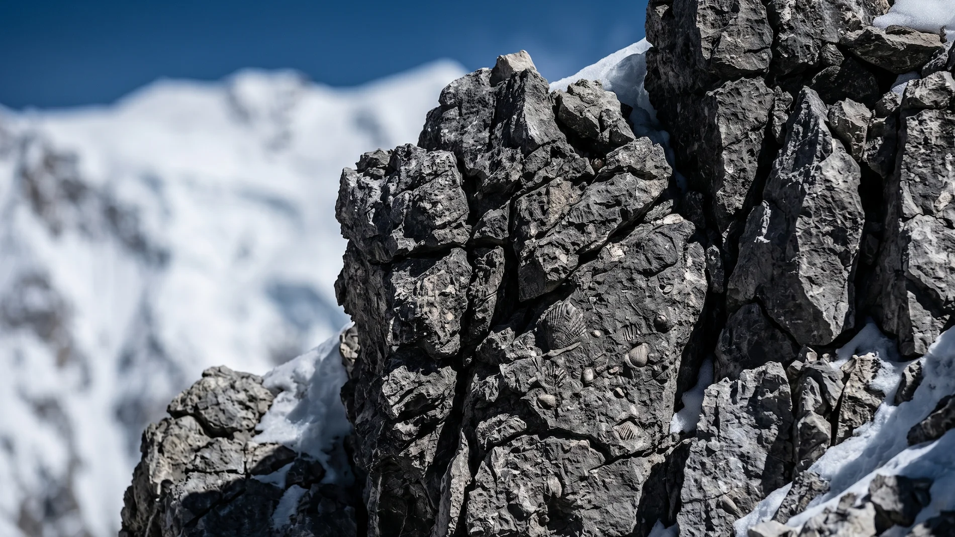 Exposed limestone rocks near the summit of Mount Everest, which contain ancient marine fossils from the ocean floor.