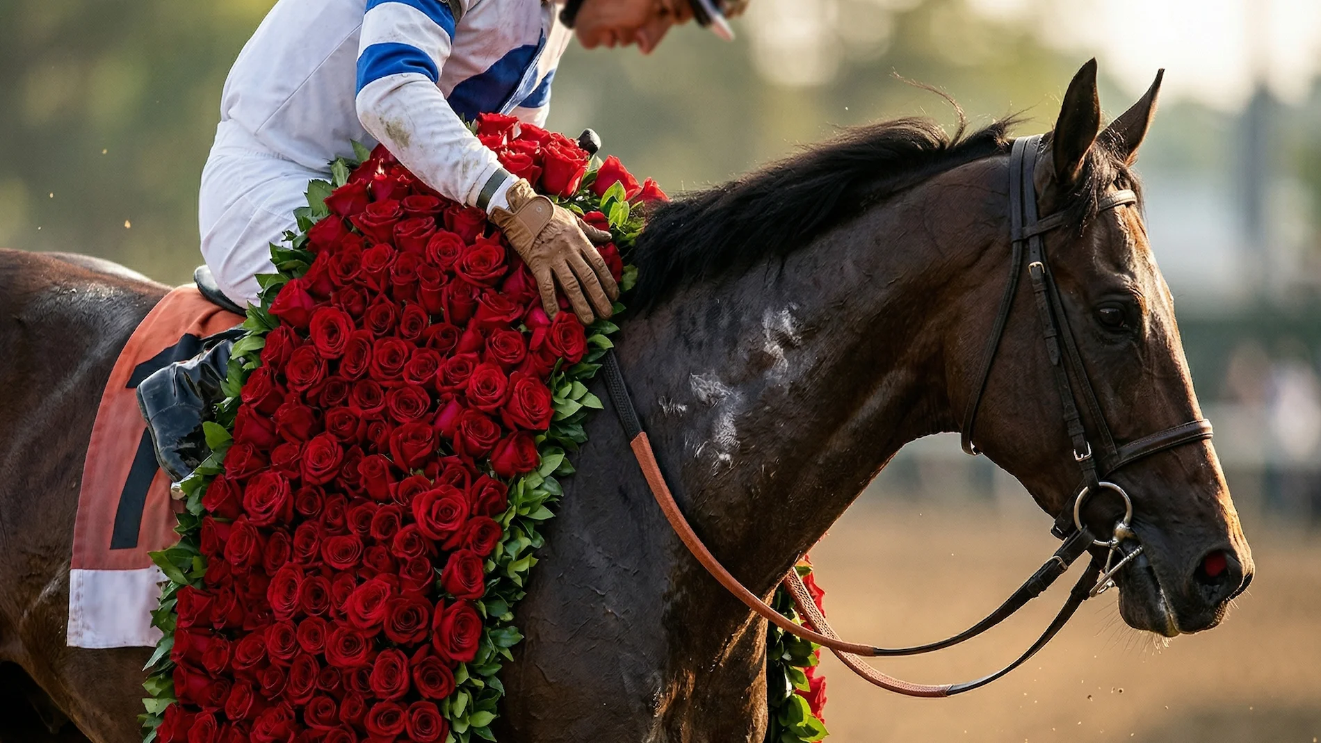 Kentucky Derby winner